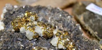 DNPM realiza leilão de ouro, diamante e esmeralda