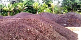 Icomi deve retomar mineração em Serra do Navio