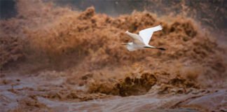 Desastre ambiental na mineração será discutido na quarta (13)