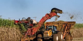 Bioenergia é indispensável para cumprir Acordo de Paris