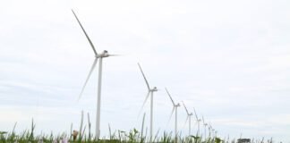 Brasil fica em 8º em ranking de capacidade eólica instalada