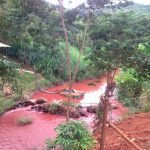 02042018_Meio-ambiente_Ribeirao