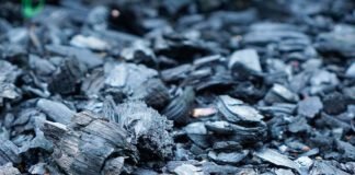 Arcelor seleciona projetos de uso alternativo para o carvão vegetal