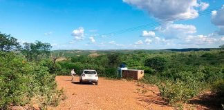 Trilha Gold amplia estimativa de produção de ouro em Serrita (PE)