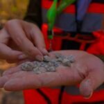 aclara terras raras goias