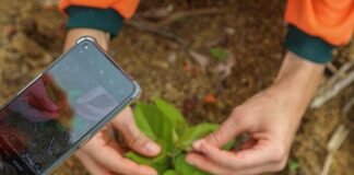 Hydro investe mais de R$ 8,8 bilhões em ações para clima e meio ambiente