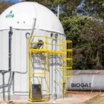 petroleo sintetico parana
