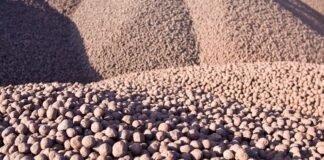 Vale e Rogesa assinam acordo para fornecimento de pelotas