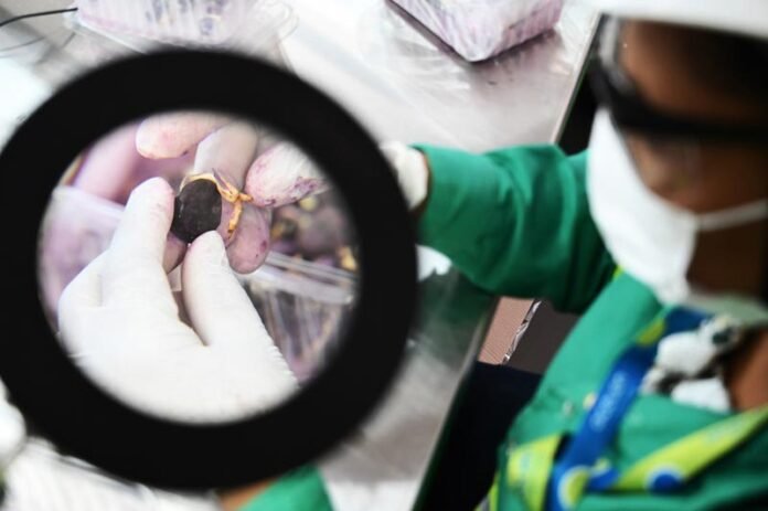 04092025-Centro-de-Inovação-Acelen-Agripark---Crédito-Ricardo-BotelhoMME